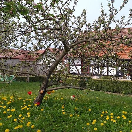 Pension Toepferhof Bad Berka Extérieur photo