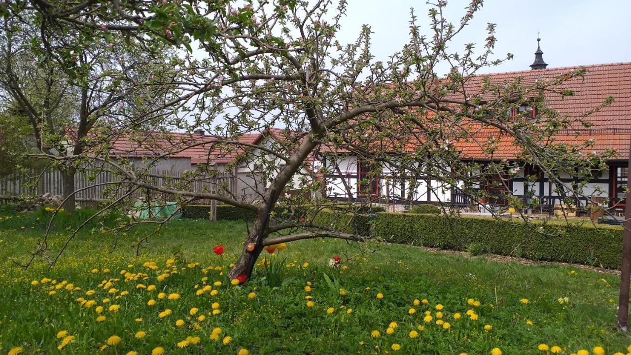 Pension Toepferhof Bad Berka Extérieur photo